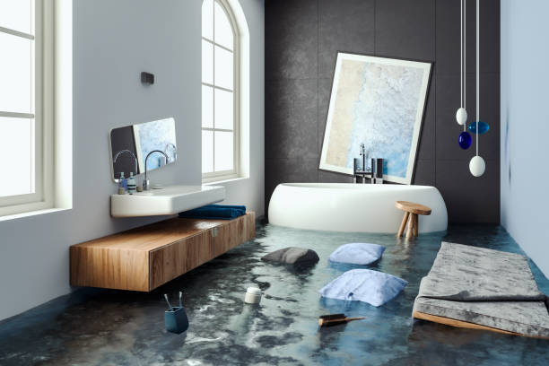 Best Professional water damage repair  in Smethport, PA