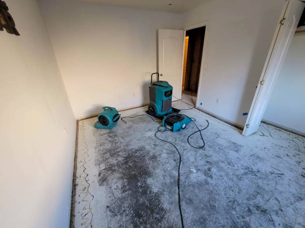 Best Basement water damage restoration  in Smethport, PA