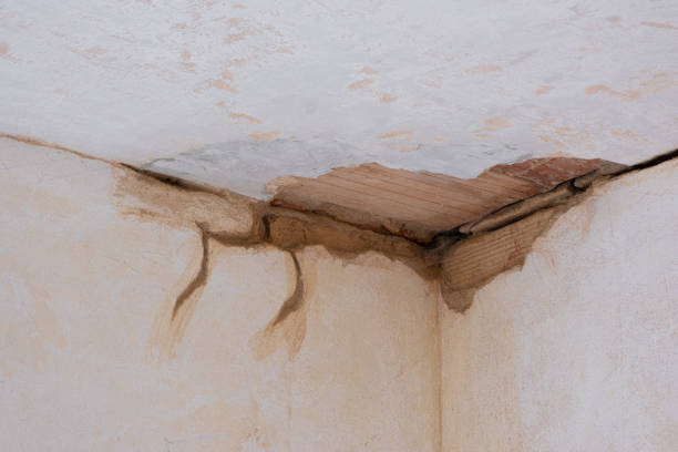 Best Water damage contractors near me  in Smethport, PA