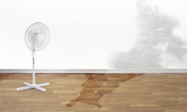 Best Water damage restoration experts  in Smethport, PA