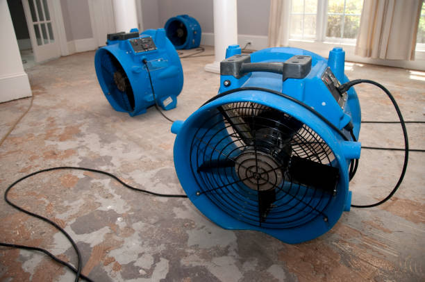 Best Local water damage restoration  in Smethport, PA