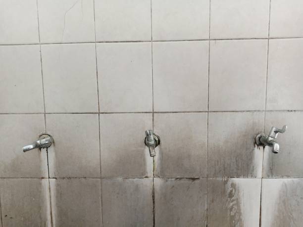 Best Sewage cleanup and water damage restoration  in Smethport, PA