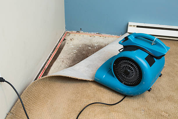 Best Water damage cleanup near me  in Smethport, PA